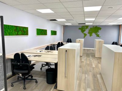 Dekorative und natürliche Wandgestaltung mit Moosbildern