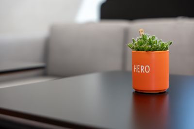 Eine moderne und zeitgemäße Bürowelt mit viel Gemütlichkeit