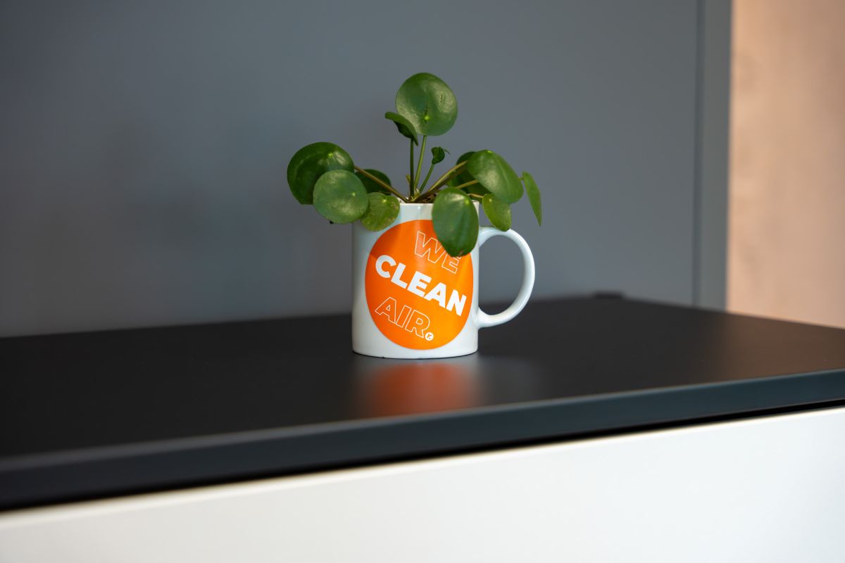 Minimalistisch