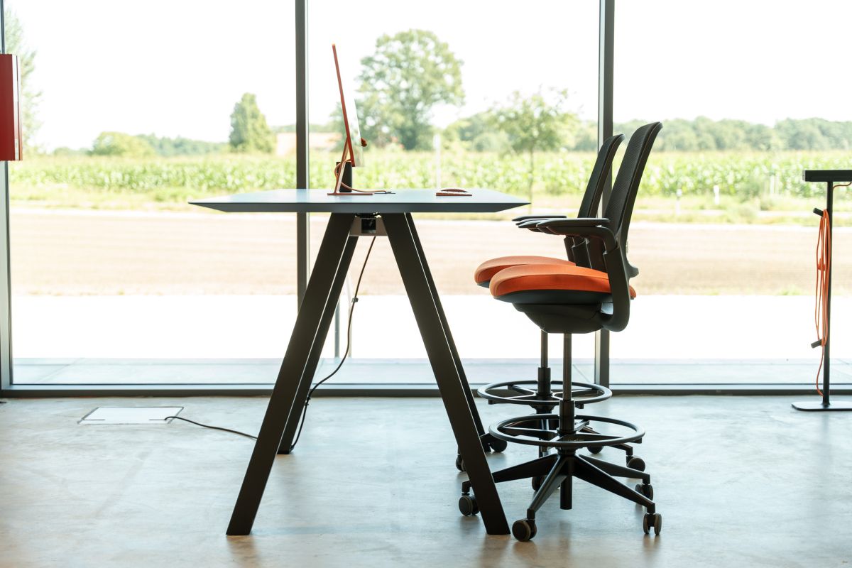 Die Workbench für Teamwork